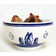 Daffodil Indoor Growing Kit with Delft Ceramic Bowl, 5 Bulbs - Caribbean garden seed