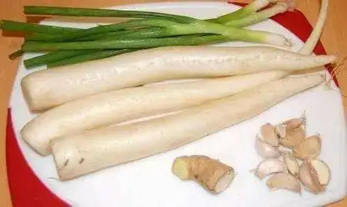 DAIKON Radish SEEDS -Japanese Minowase,  Asian Vegetable Biennial - Cover Crop ) - Caribbean garden seed