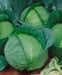 Danish Ballhead' Cabbage Seeds, - Caribbean garden seed