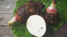 DASHEEN ROOT,EDDOS, LARGE TARO, CARIBBEAN PRODUCTS - Caribbean garden seed