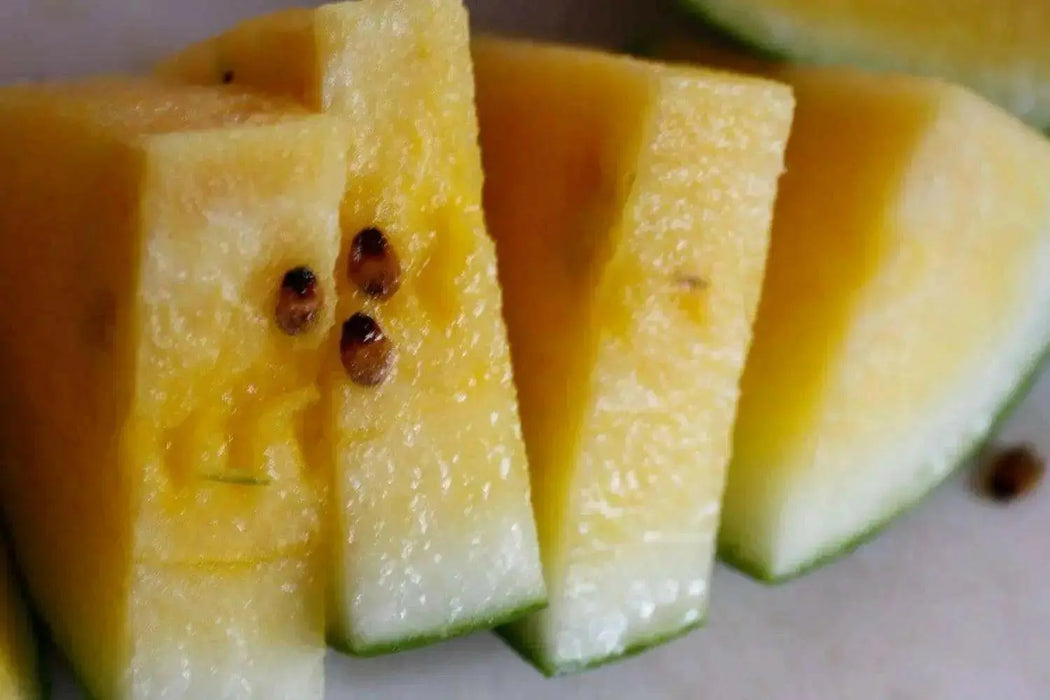 Desert King Watermelon seeds~ ~Yellow Flesh~ - Caribbean garden seed