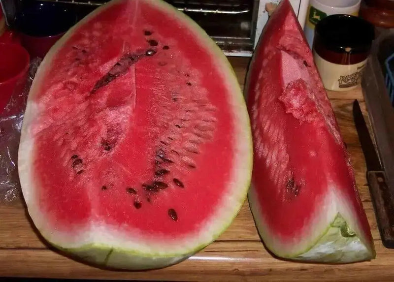 Dixie queen,watermelon Seeds- VINE - Caribbean garden seed
