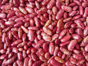 Dominican sparkle red beans Seeds ,(BUSH) - Caribbean garden seed