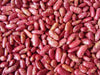 Dominican sparkle red beans Seeds ,(BUSH) - Caribbean garden seed