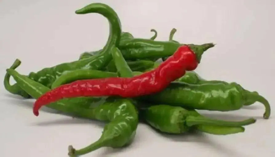 DRAGON CLAW PEPPER SEEDS ( hot Chili) Capsicum annuum, Asian Vegetable - Caribbean garden seed