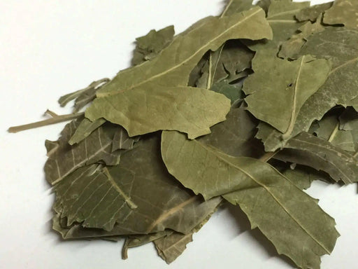 Dried neem leaves - Caribbean garden seed