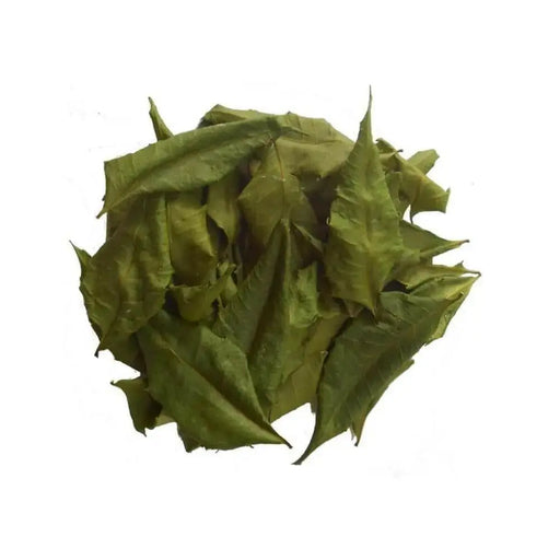 Dried neem leaves - Caribbean garden seed