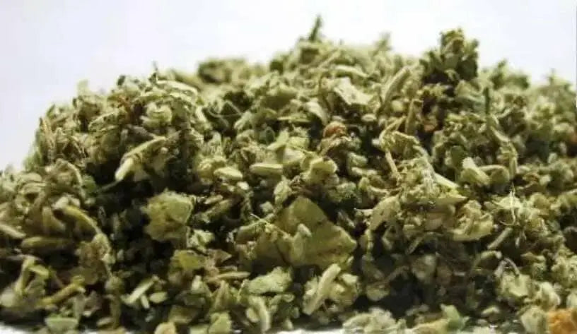 Dried Cut Mullein Leaf - 100% Organic Chemical free ! - Caribbean garden seed