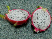 Dragon Fruit,  seeds (Hylocereus undatus) Open Pollinated-Perennial cactus - Caribbean garden seed