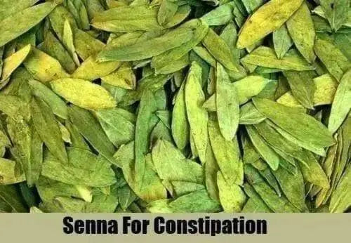 Dried Senna Leaf ,herbal tea, true senna, Organic Herb - Caribbean garden seed
