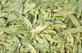 Dried Senna Leaf ,herbal tea, true senna, Organic Herb - Caribbean garden seed
