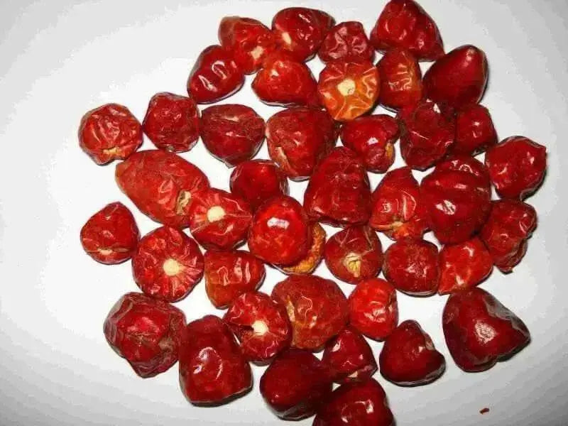 Dundicut HOT Peppers-Capsicum annuum~ Very Rare, - Caribbean garden seed