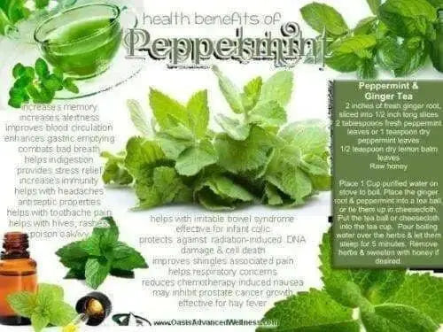 DRY peppermint leaf cut and sifted, Tea and more. DRIED Organic  HERB - Caribbean products - Caribbean garden seed