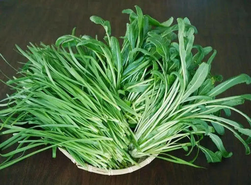 Early Mibuna, MUSTARD SEEDS,  Chinese Cabbage  ,Asian Vegetable - Caribbean garden seed