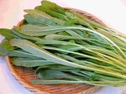 Early Mibuna, MUSTARD SEEDS,  Chinese Cabbage  ,Asian Vegetable - Caribbean garden seed