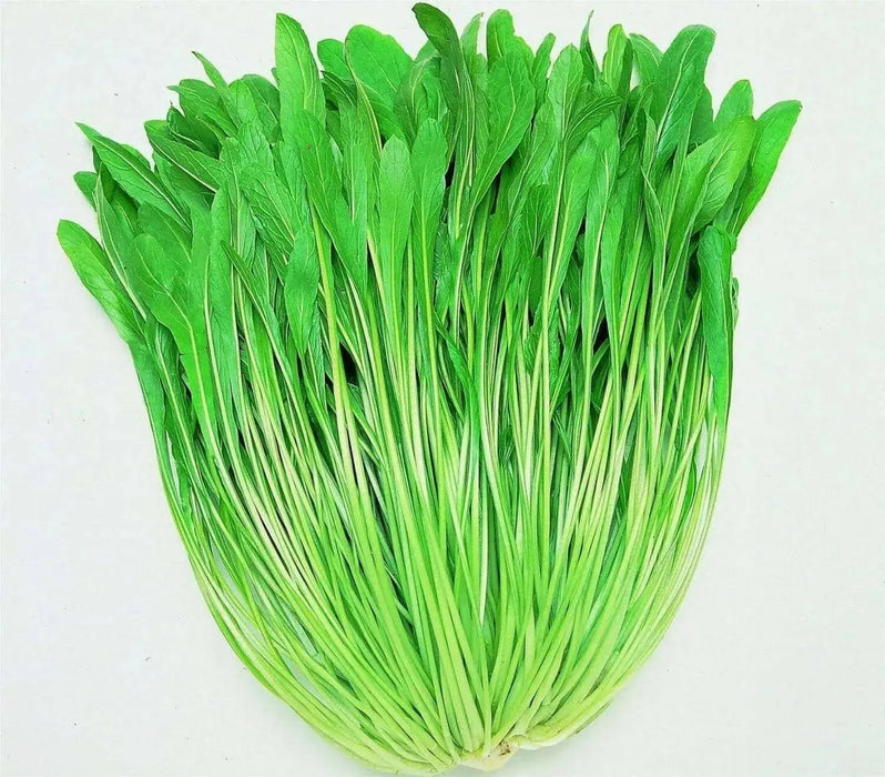 Early Mibuna, MUSTARD SEEDS,  Chinese Cabbage  ,Asian Vegetable - Caribbean garden seed