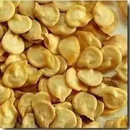 EARLY Jalapeno Pepper Seeds,Capsicum annuum - Caribbean garden seed