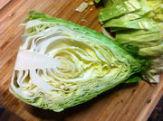 Early Jersey Wakefield Cabbage Seeds, Heirloom Vegetable - Caribbean garden seed