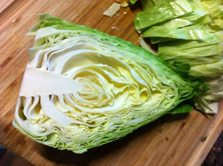 Early Jersey Wakefield Cabbage Seeds, Heirloom Vegetable - Caribbean garden seed