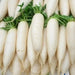Early Daikon Giant White -Radish SEEDS – Asian Vegetable . - Caribbean garden seed