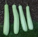 Edible bottle gourd Extra long (Asian vegetable) Gourd Seeds a.K.a BHIM - Caribbean garden seed