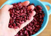 el Salvadoran Small Red BEANS ( Seeds) Bush bean, CARIBBEAN PRODUCT.