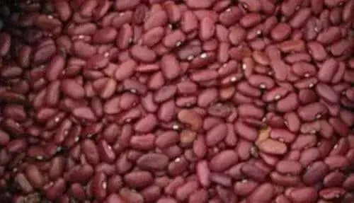 el Salvadoran Small Red BEANS ( Seeds) Bush bean, CARIBBEAN PRODUCT.