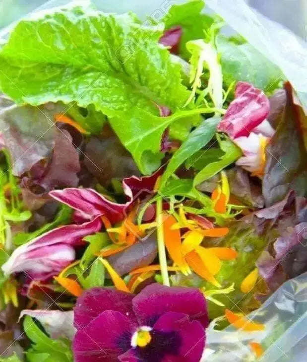 Edible Flower Seed-Mix -Fragrant, Colorful - Caribbean garden seed
