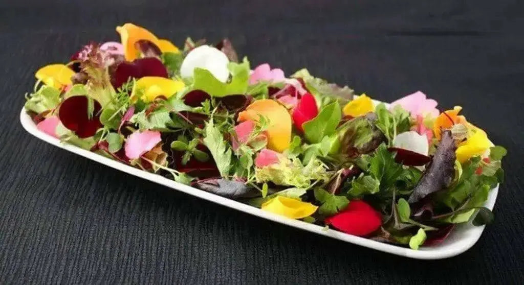 Edible Flower Seed-Mix -Fragrant, Colorful - Caribbean garden seed