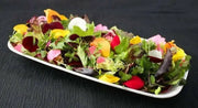 Edible Flowers Seed Mix - annual flowers - Caribbean garden seed