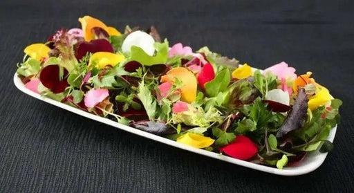 Edible Flowers Seed Mix - annual flowers - Caribbean garden seed