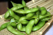 Edible soybean, called Edamame in Japan and Mao Dou in China - Caribbean garden seed