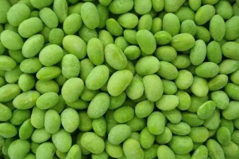 Edible soybean, called Edamame in Japan and Mao Dou in China - Caribbean garden seed