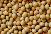 Edible soybean, called Edamame in Japan and Mao Dou in China - Caribbean garden seed