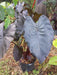 ELEPHANT EAR BULBS - DIAMOND HEAD,TROPICAL PLANT - Caribbean garden seed