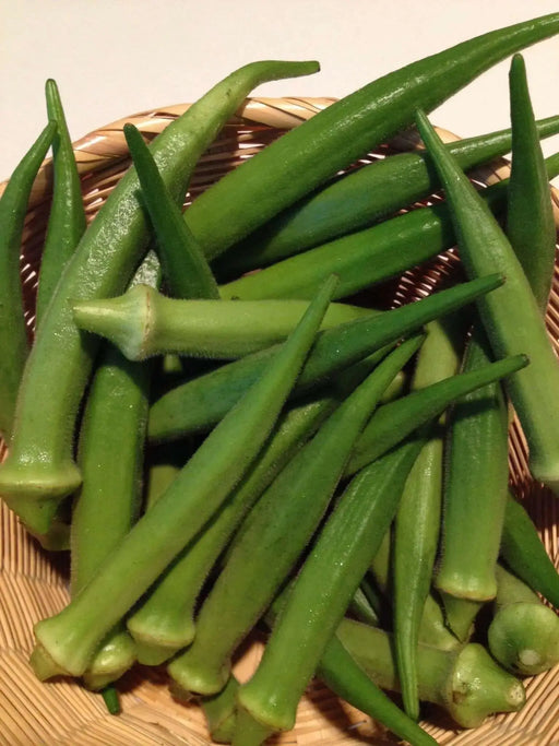 Emerald Okra, Ladies Finger seeds,heirloom vegetables - Caribbean garden seed