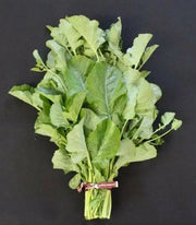 Ethiopian Kale Seeds, annual vegetable, MICROGREENS - Caribbean garden seed