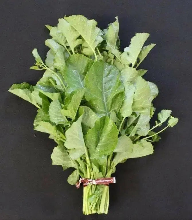 Ethiopian Kale Seeds, annual vegetable, MICROGREENS - Caribbean garden seed