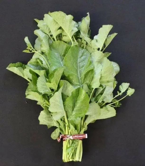 Ethiopian Kale Seeds, annual vegetable, MICROGREENS - Caribbean garden seed