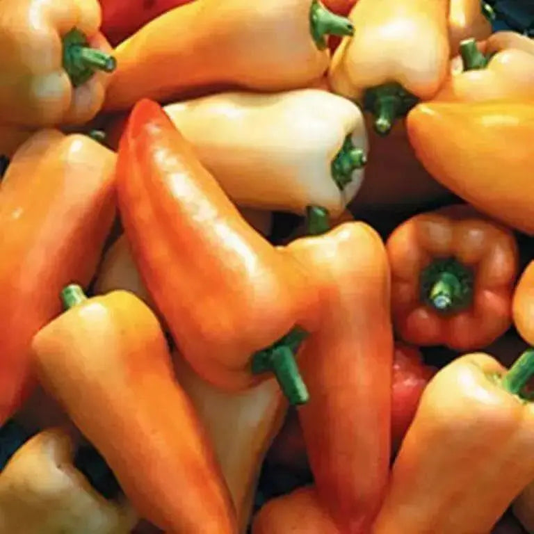 Feher Ozon Paprika ,Pepper Seeds, Capsicum annuum - Caribbean garden seed