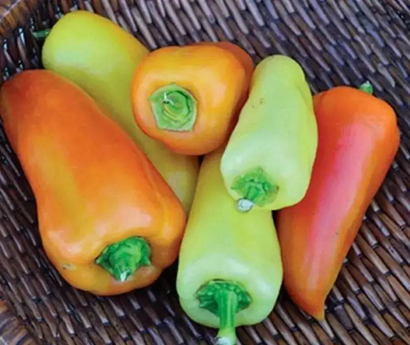 Feher Ozon Paprika ,Pepper Seeds, Capsicum annuum - Caribbean garden seed