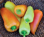 Feher Ozon Paprika ,Pepper Seeds, Capsicum annuum - Caribbean garden seed