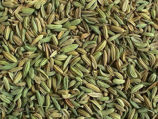 Fennel (Foeniculum Vulgare Florence), Herb Seed , Organic, Easy to grow,All parts of this herb are aromatic and delicious! - Caribbean garden seed