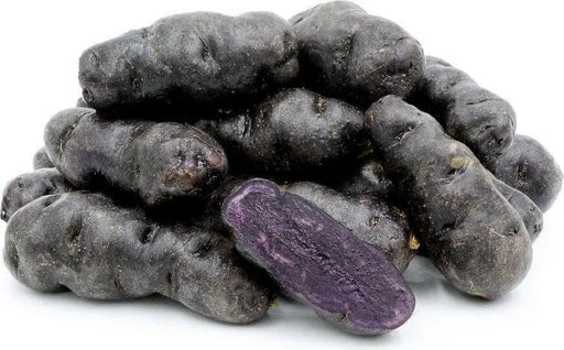 FINGERLING POTATO ( PURPLE MAGIC ) NON - GMO VEGETABLE - Caribbean garden seed