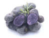FINGERLING POTATO ( PURPLE MAGIC ) NON - GMO VEGETABLE - Caribbean garden seed