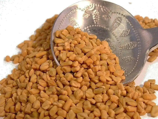 Fenugreek Seed (Trigonella foenum-graecumme) culinary herb , ! - Caribbean garden seed