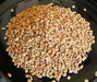 Fenugreek Seed (Trigonella foenum-graecumme) culinary herb , ! - Caribbean garden seed