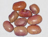 Flor de Mayo Beans.Faded purple specks over cream-beige background.Bush/Dry bean from Central Mexico. - Caribbean garden seed
