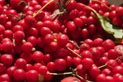 Five-flavor berry , Schizandra Seed , PERENNIAL VINE - Caribbean garden seed