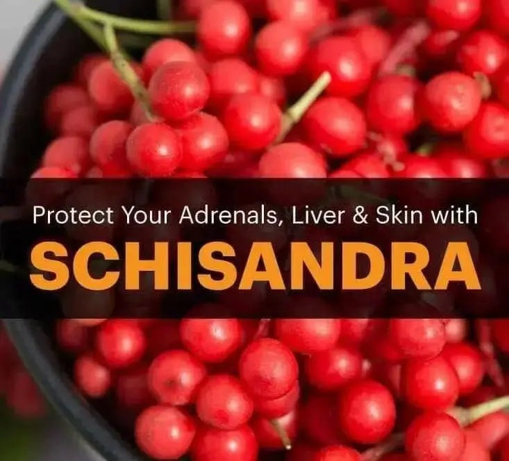 Five-flavor berry , Schizandra Seed , PERENNIAL VINE - Caribbean garden seed